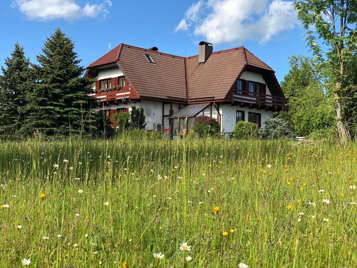 Penzion Harvanek Hotel Vlachovice Exterior foto